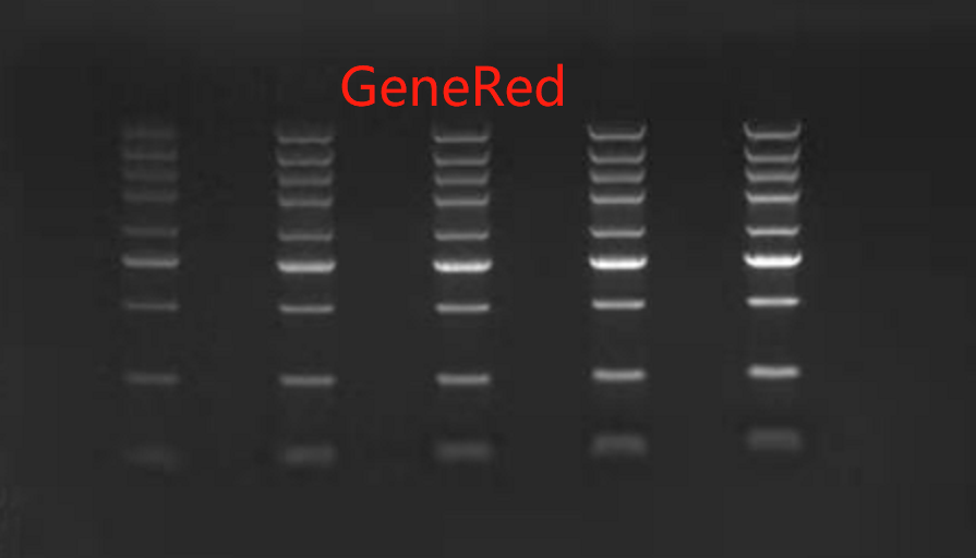 GeneRed（GelRed）核酸染料